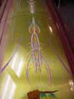 R-coffin-foot1_t